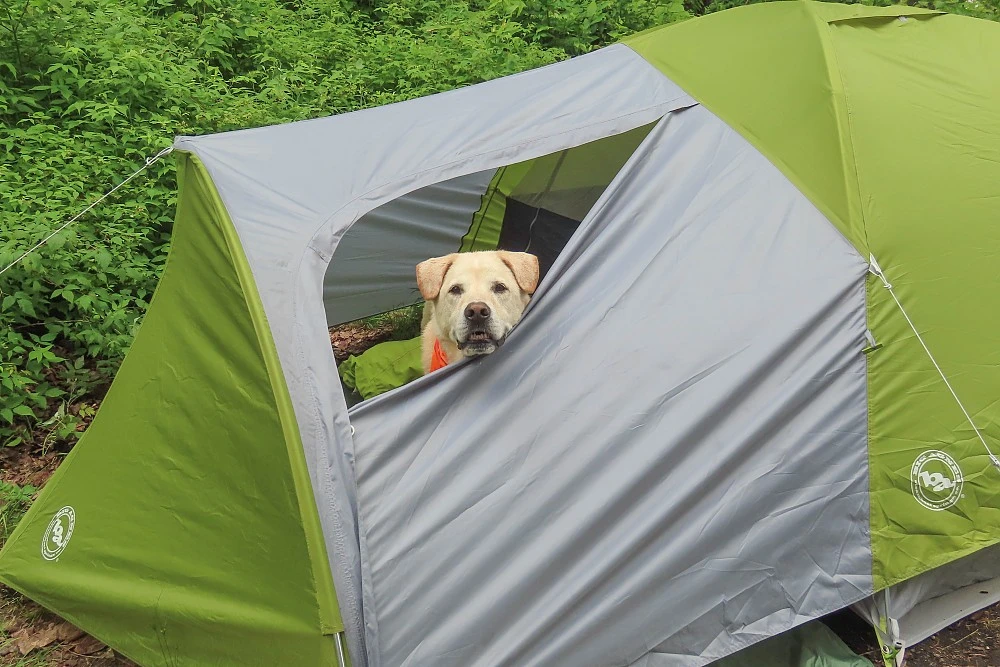 Big Agnes Blacktail Hotel 3 - Image 6